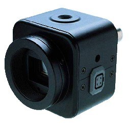長期供應日本WATEC攝像機WAT-535EX2——深圳德塔爾數碼 一級代理與優質服務的承諾